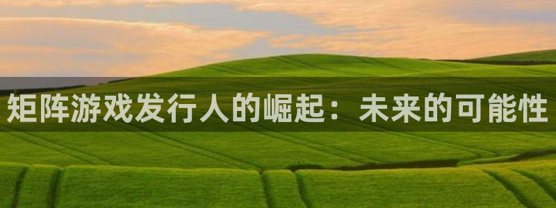 db电竞官网注册平台登录入口：矩阵游戏发行人的崛起：未来的可能性