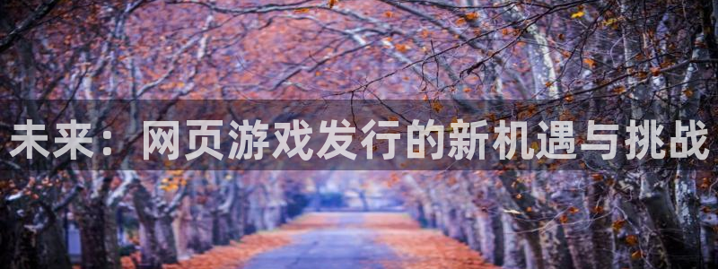 db电竞官网代理注册不了：未来：网页游戏发行的新机遇与挑战