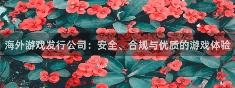 db电竞官网登录注册账号：海外游戏发行公司：安全、合规与优质的游戏体验
