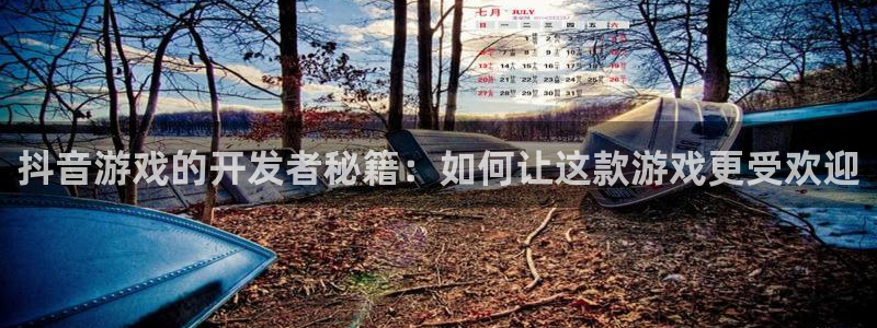 法国db电竞：抖音游戏的开发者秘籍：如何让这款游戏更受欢迎