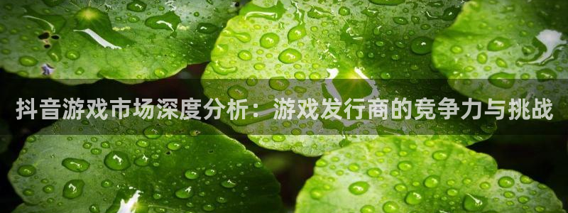 db电竞官网价 5O6917 db电竞