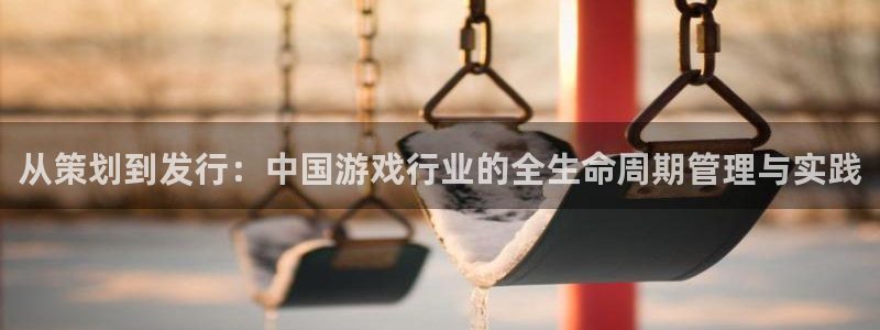 db电竞官网注册平台官网下载：从策划到发行：中国游戏行业的全生命周期管理与实践