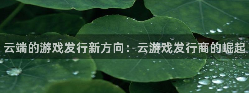 db电竞运动装有哪些品牌：云端的游戏发行新方向：云游戏发行商的崛起