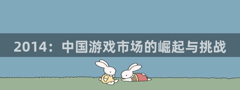 四川db电竞科技有限公司：2014：中国游戏市场的崛起与挑战