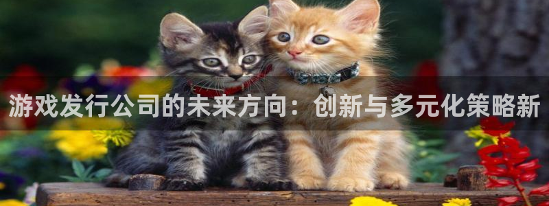 db电竞工坊：游戏发行公司的未来方向：创新与多元化策略新