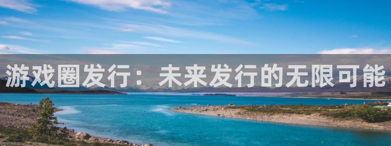 db电竞官网注册方法是什么意思：游戏圈发行：未来发行的无限可能