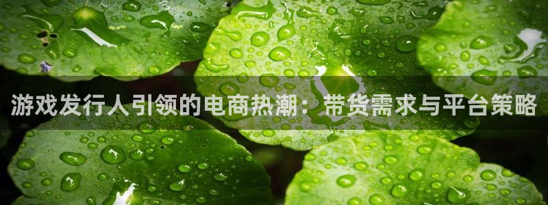 db电竞官网登录注册不了怎么办：游戏发行人引领的电商热潮：带货需求与平台策略