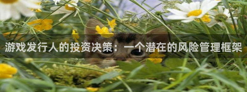 db电竞电子商务有限公司地址