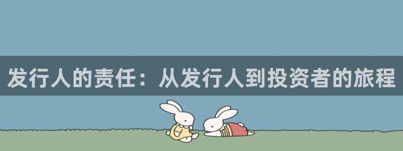 db电竞官网登录注册失败怎么回事：发行人的责任：从发行人到投资者的旅程