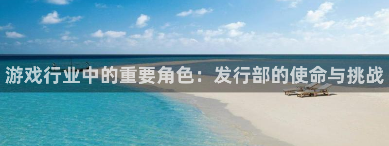 db电竞子酒业：游戏行业中的重要角色：发行部的使命与挑战