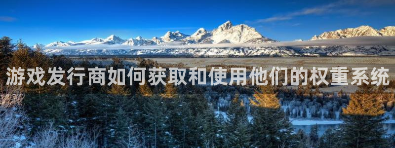 db电竞子股价：游戏发行商如何获取和使用他们的权重系统