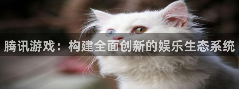 db电竞服装分店有几家