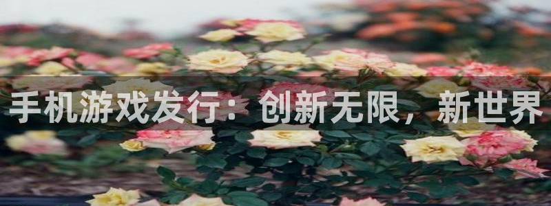 db电竞集团有限公司